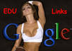 get you 230 EDU seo backlinks for your site from edu blogs small1