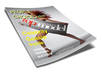create an amazing looking ezine cover