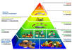 help you reconstruct your diet small1