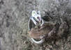 send you this mouse ring in a pouch
