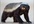 create a voice over, greeting or message as Randall aka the honey badger voice