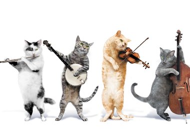record a professional commercial jingle for you big1