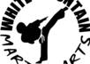 teach you martial arts and or self defence