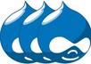 help you with your DRUPAL modules