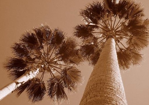 help plan out a vacation, holiday or things to do in Los Angeles big1