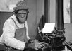 write a review about your web based subject matter and place a link to it on my blog