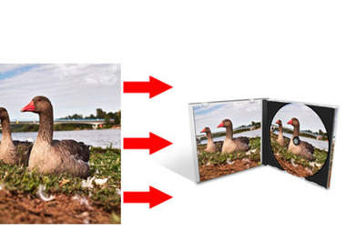 turn A Picture Into An Inside cd Case and CD Image Graphic big1