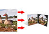 turn A Picture Into An Inside cd Case and CD Image Graphic small1