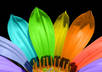 teach what colours are best to use and will manage to attract customers to your business, website, store or anything else