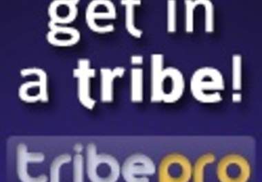 syndicate your web content to over 2000 social media sites through TribePro big1