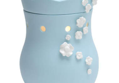 set up a online Scentsy party for you to earn free product big1