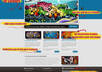give Graffiare Wordpress Theme  Stunning and New With 10 Color variations