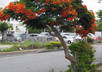 send you a POSTCARD from Okinawa with your message translated into Japanese small1