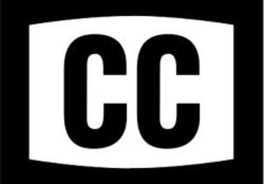 provide subtitle/closed captioning big1