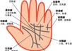 do palm reading after sending me your left hand picture