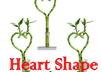 send a heart shape lucky bamboo to anyone