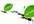 make Ants carry your Message and pictures HD video