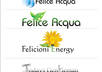 design a professional LOGO according to your specifications