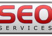 provide 24H No Hands SEO Blast