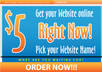 host your website plus you can pick your own website name