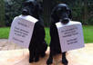 Fiverr-dogs