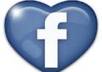 send you 800 USA facebook fans, likes, no admin access require