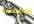 create for you 650 publicly viewable forum back links with anchor your text
