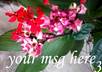 add your msg or logo to one of the pics from my garden small1
