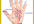 do palmistry reading for you
