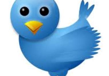 give you Twitter Accounts with 200 or More Followers WITH Tweets big1