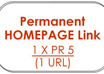 give you 1 PR5 Permanent HOMEPAGE Backlink small1