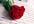 write you a poem, that you can give to your sweetheart