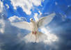 contact your Passed Loved one small1