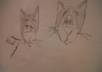 sketch or draw any picture or character