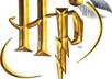 have an intellectual discussion about Harry Potter with you
