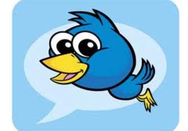 send out an Ad to my 1300 plus Followers advertising your Business or service on twitter big1
