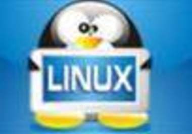 teach you how to design Linux operating system big1