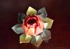 fold two origami lotus flower for valentines day with a secret message inside