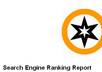 send you a complete indepth  SEO optimization and ranking report for your website with ibp small1