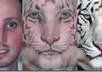 morph your pictures small1
