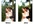enhance your wedding or engagement photo