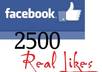 get you 2500 Facebook REAL Likes