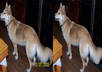 remove the dates from 20 of your pictures in just 24 hrs