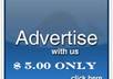 post your business ad on our websites for 2 days
