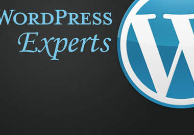 fix your any wordpress problems big1
