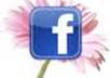 share, reshare anything on facebook a 200 times
