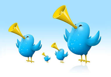 tweet your product or link to my 1000++ loyal followers big1