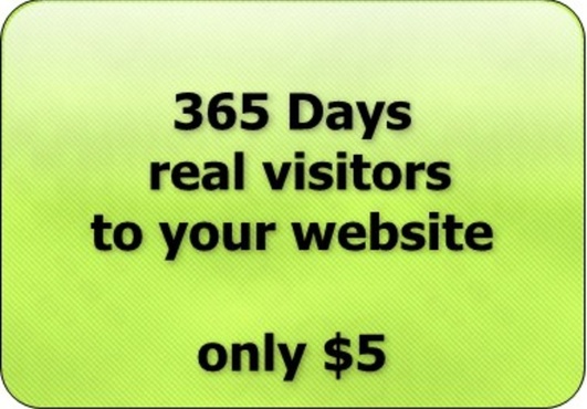 deliver real human TRAFFIC to your website for 365 days big1