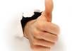 write 3 quality business reviews with 5 stars rating