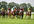 send you UK horse racing betting tips for an entire meeting usually 7 races from over 10 of the best tipping sources